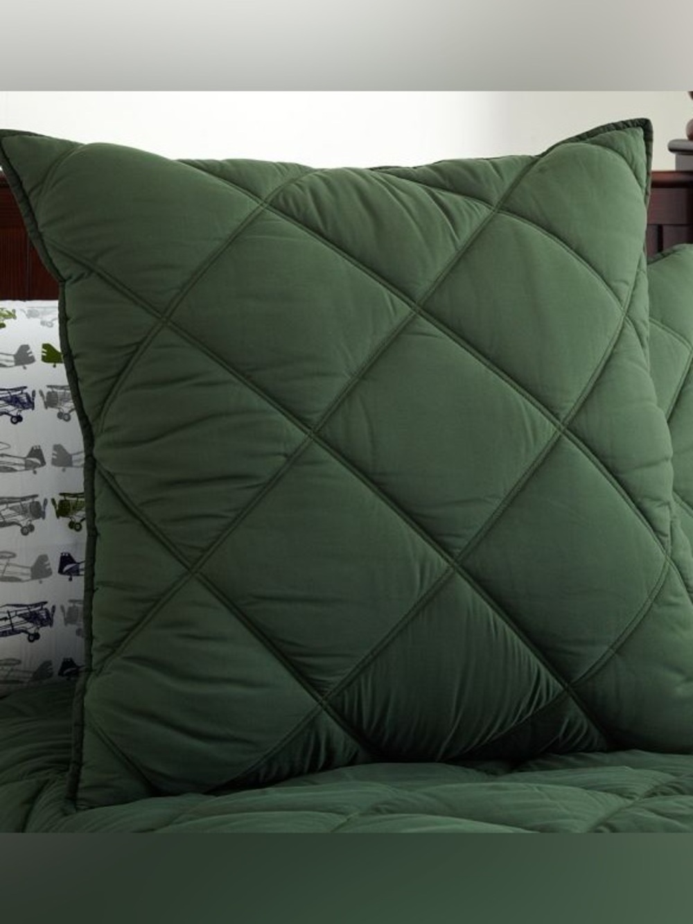 NWOT Pottery Barn Kids Dylan Quilted Euro Sham, green